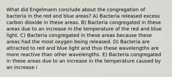 What did Engelmann conclude about the congregation of bacteria in the red and blue areas? A) Bacteria released excess carbon dioxide in these areas. B) Bacteria congregated in these areas due to an increase in the temperature of the red and blue light. C) Bacteria congregated in these areas because these areas had the most oxygen being released. D) Bacteria are attracted to red and blue light and thus these wavelengths are more reactive than other wavelengths. E) Bacteria congregated in these areas due to an increase in the temperature caused by an increase i