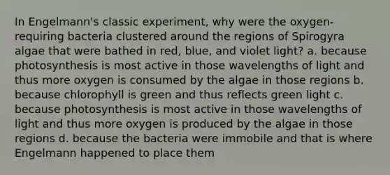 In Engelmann's classic experiment, why were the oxygen-requiring bacteria clustered around the regions of Spirogyra algae that were bathed in red, blue, and violet light? a. because photosynthesis is most active in those wavelengths of light and thus more oxygen is consumed by the algae in those regions b. because chlorophyll is green and thus reflects green light c. because photosynthesis is most active in those wavelengths of light and thus more oxygen is produced by the algae in those regions d. because the bacteria were immobile and that is where Engelmann happened to place them