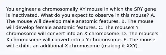 You engineer a chromosomally XY mouse in which the SRY gene is inactivated. What do you expect to observe in this mouse? A. The mouse will develop male anatomic features. B. The mouse will develop female anatomic features. C. The mouse's Y chromosome will convert into an X chromosome. D. The mouse's X chromosome will convert into a Y chromosome. E. The mouse will exhibit an additional X chromosome (making it XXY).