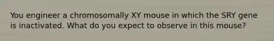 You engineer a chromosomally XY mouse in which the SRY gene is inactivated. What do you expect to observe in this mouse?