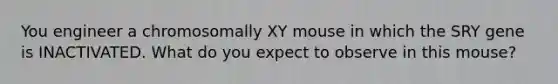 You engineer a chromosomally XY mouse in which the SRY gene is INACTIVATED. What do you expect to observe in this mouse?