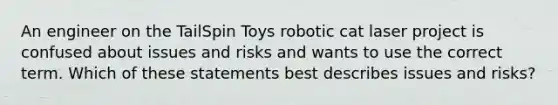 An engineer on the TailSpin Toys robotic cat laser project is confused about issues and risks and wants to use the correct term. Which of these statements best describes issues and risks?