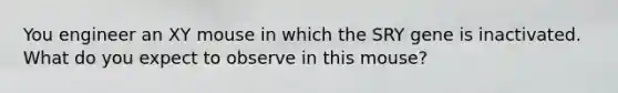 You engineer an XY mouse in which the SRY gene is inactivated. What do you expect to observe in this mouse?