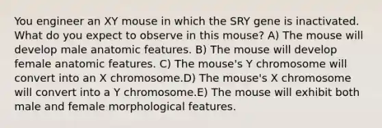 You engineer an XY mouse in which the SRY gene is inactivated. What do you expect to observe in this mouse? A) The mouse will develop male anatomic features. B) The mouse will develop female anatomic features. C) The mouse's Y chromosome will convert into an X chromosome.D) The mouse's X chromosome will convert into a Y chromosome.E) The mouse will exhibit both male and female morphological features.