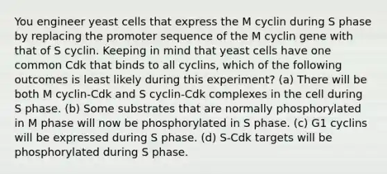 You engineer yeast cells that express the M cyclin during S phase by replacing the promoter sequence of the M cyclin gene with that of S cyclin. Keeping in mind that yeast cells have one common Cdk that binds to all cyclins, which of the following outcomes is least likely during this experiment? (a) There will be both M cyclin-Cdk and S cyclin-Cdk complexes in the cell during S phase. (b) Some substrates that are normally phosphorylated in M phase will now be phosphorylated in S phase. (c) G1 cyclins will be expressed during S phase. (d) S-Cdk targets will be phosphorylated during S phase.