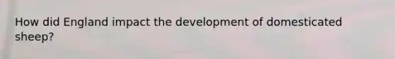 How did England impact the development of domesticated sheep?