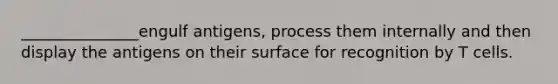 _______________engulf antigens, process them internally and then display the antigens on their surface for recognition by T cells.