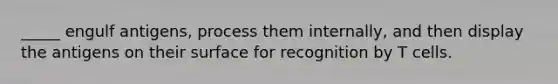 _____ engulf antigens, process them internally, and then display the antigens on their surface for recognition by T cells.