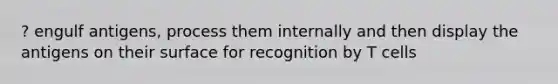 ? engulf antigens, process them internally and then display the antigens on their surface for recognition by T cells