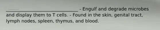 ________________________________ - Engulf and degrade microbes and display them to T cells. - Found in the skin, genital tract, lymph nodes, spleen, thymus, and blood.