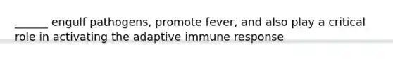 ______ engulf pathogens, promote fever, and also play a critical role in activating the adaptive immune response