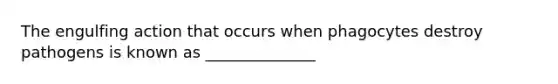 The engulfing action that occurs when phagocytes destroy pathogens is known as ______________