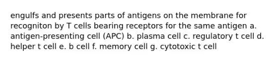 engulfs and presents parts of antigens on the membrane for recogniton by T cells bearing receptors for the same antigen a. antigen-presenting cell (APC) b. plasma cell c. regulatory t cell d. helper t cell e. b cell f. memory cell g. cytotoxic t cell