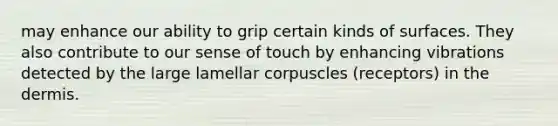 may enhance our ability to grip certain kinds of surfaces. They also contribute to our sense of touch by enhancing vibrations detected by the large lamellar corpuscles (receptors) in the dermis.