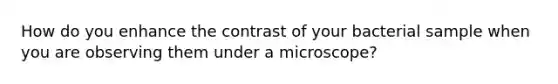 How do you enhance the contrast of your bacterial sample when you are observing them under a microscope?