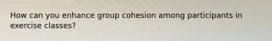 How can you enhance group cohesion among participants in exercise classes?