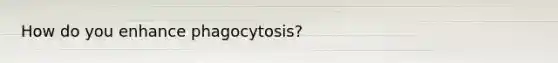 How do you enhance phagocytosis?