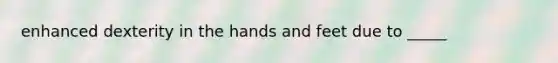 enhanced dexterity in the hands and feet due to _____