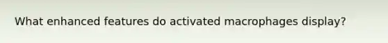 What enhanced features do activated macrophages display?