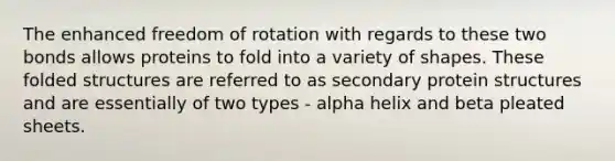 The enhanced freedom of rotation with regards to these two bonds allows proteins to fold into a variety of shapes. These folded structures are referred to as secondary protein structures and are essentially of two types - alpha helix and beta pleated sheets.