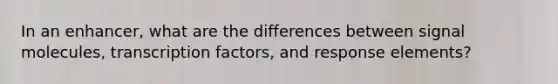 In an enhancer, what are the differences between signal molecules, transcription factors, and response elements?