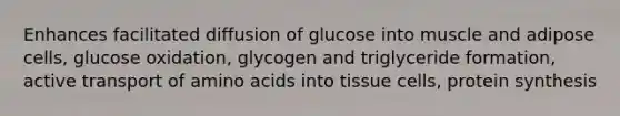 Enhances facilitated diffusion of glucose into muscle and adipose cells, glucose oxidation, glycogen and triglyceride formation, active transport of amino acids into tissue cells, protein synthesis