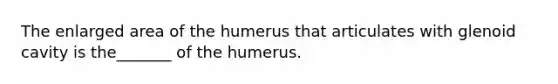 The enlarged area of the humerus that articulates with glenoid cavity is the_______ of the humerus.