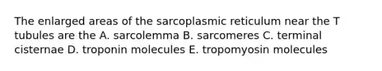 The enlarged areas of the sarcoplasmic reticulum near the T tubules are the A. sarcolemma B. sarcomeres C. terminal cisternae D. troponin molecules E. tropomyosin molecules