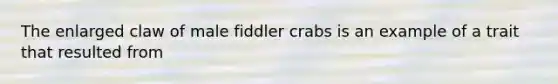 The enlarged claw of male fiddler crabs is an example of a trait that resulted from