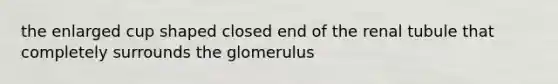 the enlarged cup shaped closed end of the renal tubule that completely surrounds the glomerulus