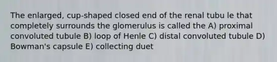 The enlarged, cup-shaped closed end of the renal tubu le that completely surrounds the glomerulus is called the A) proximal convoluted tubule B) loop of Henle C) distal convoluted tubule D) Bowman's capsule E) collecting duet