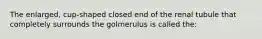 The enlarged, cup-shaped closed end of the renal tubule that completely surrounds the golmerulus is called the: