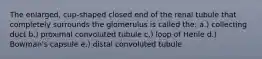 The enlarged, cup-shaped closed end of the renal tubule that completely surrounds the glomerulus is called the: a.) collecting duct b.) proximal convoluted tubule c.) loop of Henle d.) Bowman's capsule e.) distal convoluted tubule