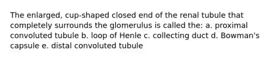 The enlarged, cup-shaped closed end of the renal tubule that completely surrounds the glomerulus is called the: a. proximal convoluted tubule b. loop of Henle c. collecting duct d. Bowman's capsule e. distal convoluted tubule