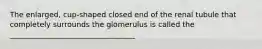 The enlarged, cup-shaped closed end of the renal tubule that completely surrounds the glomerulus is called the __________________________________