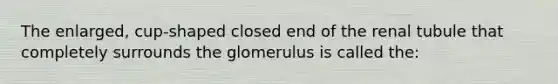 The enlarged, cup-shaped closed end of the renal tubule that completely surrounds the glomerulus is called the: