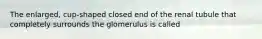 The enlarged, cup-shaped closed end of the renal tubule that completely surrounds the glomerulus is called