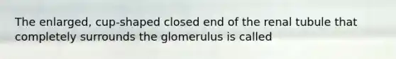 The enlarged, cup-shaped closed end of the renal tubule that completely surrounds the glomerulus is called