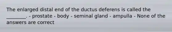 The enlarged distal end of the ductus deferens is called the ________. - prostate - body - seminal gland - ampulla - None of the answers are correct