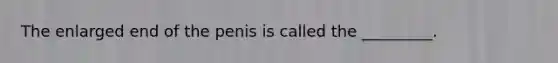 The enlarged end of the penis is called the _________.