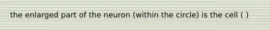 the enlarged part of the neuron (within the circle) is the cell ( )