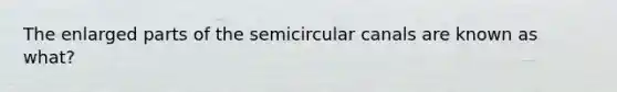 The enlarged parts of the semicircular canals are known as what?