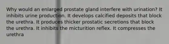 Why would an enlarged prostate gland interfere with urination? It inhibits urine production. It develops calcified deposits that block the urethra. It produces thicker prostatic secretions that block the urethra. It inhibits the micturition reflex. It compresses the urethra