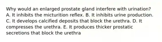 Why would an enlarged prostate gland interfere with urination? A. It inhibits the micturition reflex. B. It inhibits urine production. C. It develops calcified deposits that block the urethra. D. It compresses the urethra. E. It produces thicker prostatic secretions that block the urethra