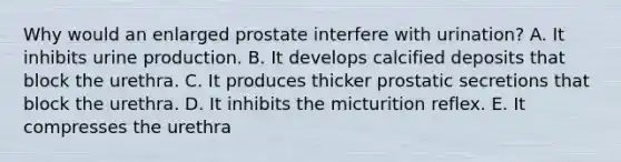 Why would an enlarged prostate interfere with urination? A. It inhibits urine production. B. It develops calcified deposits that block the urethra. C. It produces thicker prostatic secretions that block the urethra. D. It inhibits the micturition reflex. E. It compresses the urethra