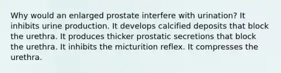 Why would an enlarged prostate interfere with urination? It inhibits urine production. It develops calcified deposits that block the urethra. It produces thicker prostatic secretions that block the urethra. It inhibits the micturition reflex. It compresses the urethra.