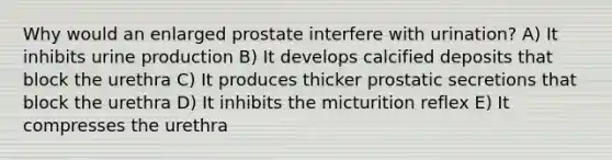 Why would an enlarged prostate interfere with urination? A) It inhibits urine production B) It develops calcified deposits that block the urethra C) It produces thicker prostatic secretions that block the urethra D) It inhibits the micturition reflex E) It compresses the urethra