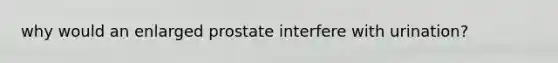 why would an enlarged prostate interfere with urination?