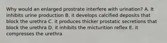 Why would an enlarged prostrate interfere with urination? A. It inhibits urine production B. it develops calcified deposits that block the urethra C. it produces thicker prostatic secretions that block the urethra D. it inhibits the micturition reflex E. it compresses the urethra