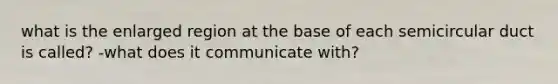 what is the enlarged region at the base of each semicircular duct is called? -what does it communicate with?